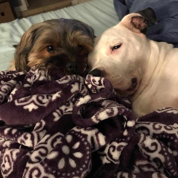 Meet your Posher, Victoria - Picture 1 of 1